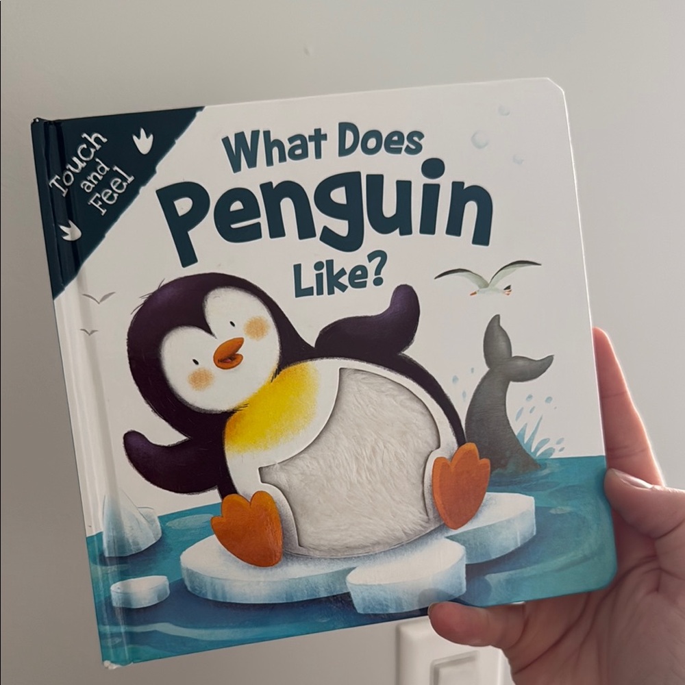 Touch and Feel Book